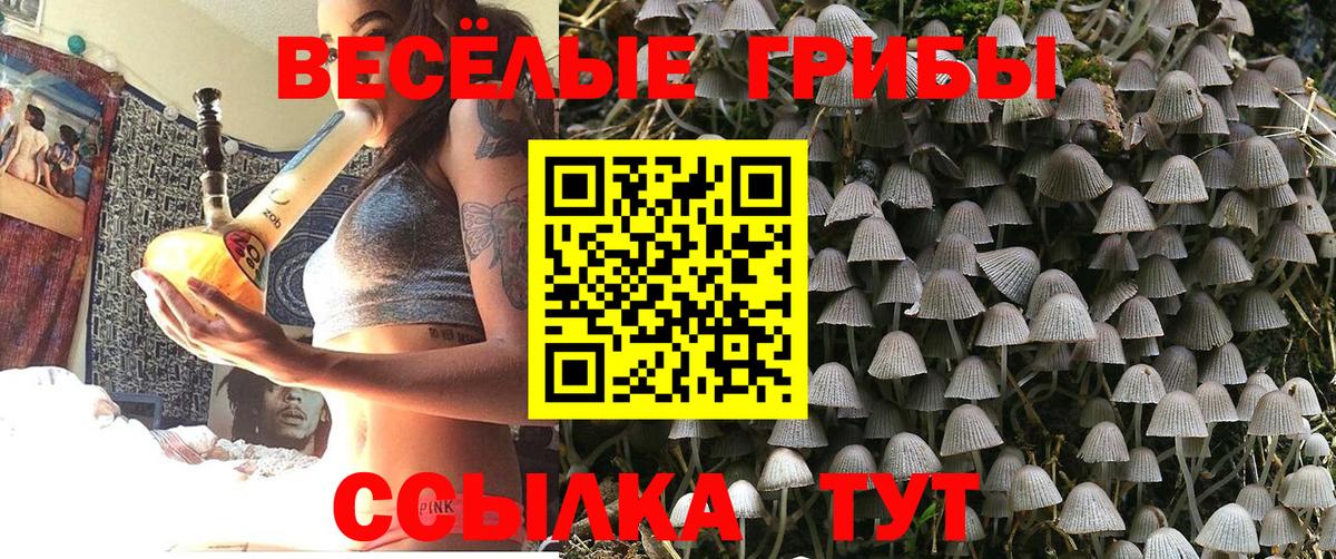 Псилоцибиновые грибы мицелий Саяногорск